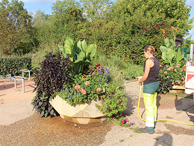 Arrosage des massifs de fleurs à Trévoux