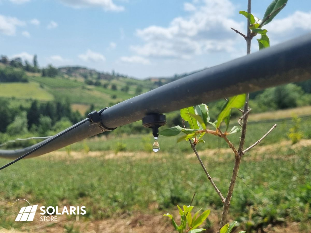 Pompage solaire irrigation en goutte à goutte de grenadiers dans le Beaujolais