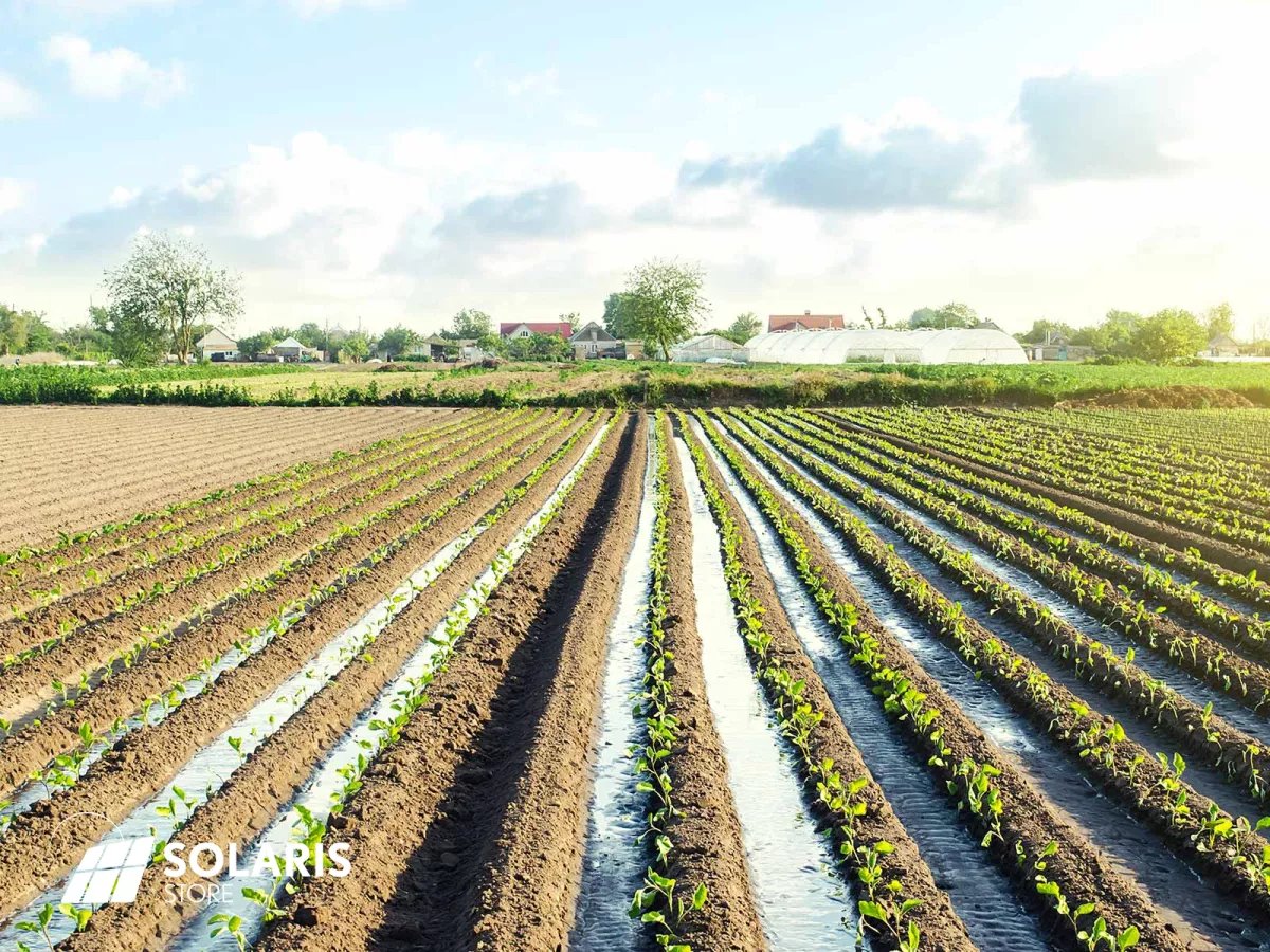 Interview : pompes à eau solaire agricole, un équipement d'avenir ?