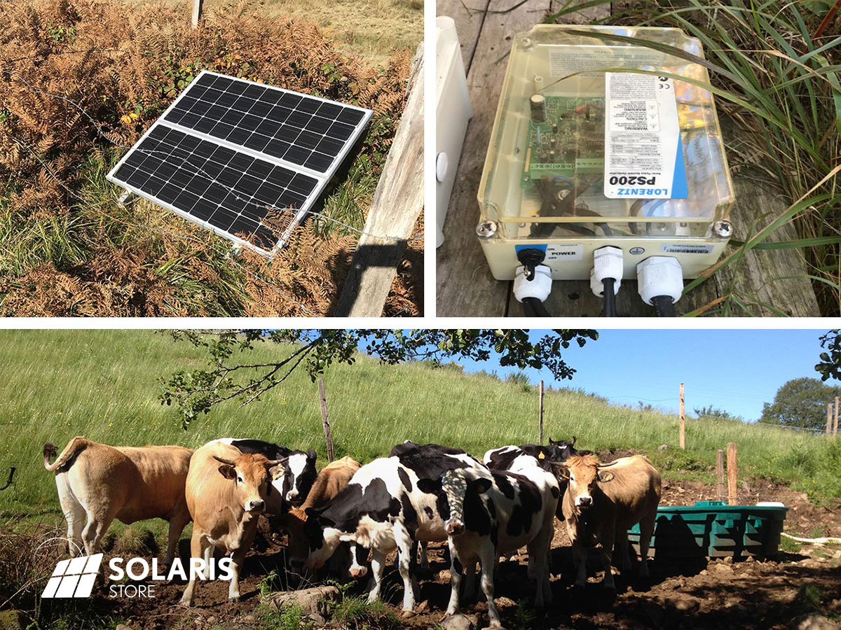 Panneau solaire pour pompage abreuvoir